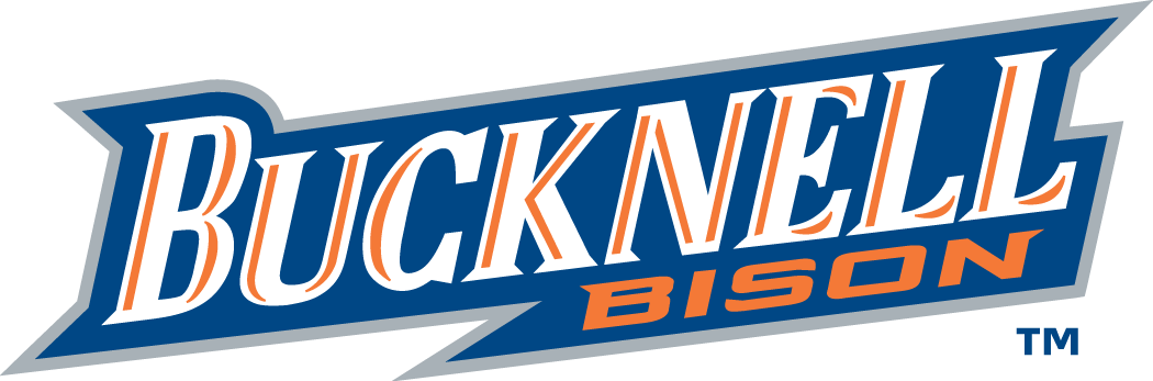 Bucknell Bison 2002-Pres Wordmark Logo t shirts iron on transfers v2